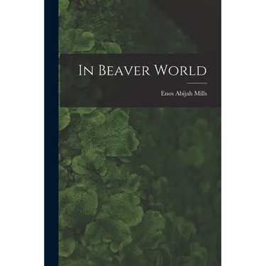 In Beaver World