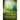 The Wind in the Willows: a children's novel by Scottish novelist Kenneth Grahame, first published in 1908. Alternatingly slow-moving and fast-p