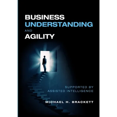 Business Understanding and Agility