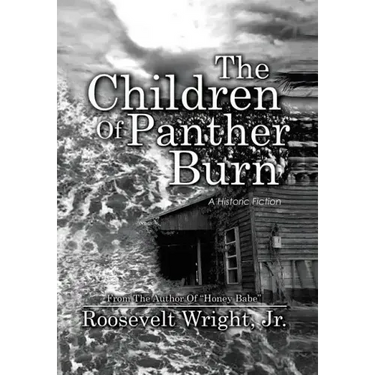 The Children of Panther Burn: A Historic Fiction