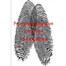 Promoting Effective Homicide Investigations
