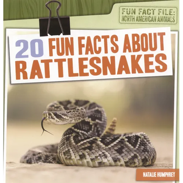 20 Fun Facts about Rattlesnakes