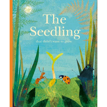 The Seedling That Didn't Want to Grow