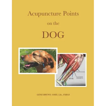Acupuncture Points on the Dog