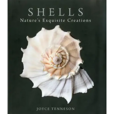 Shells: Nature's Exquisite Creations