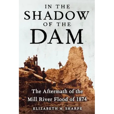 In the Shadow of the Dam: The Aftermath of the Mill River Flood of 1874