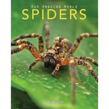 Spiders: Amazing Pictures & Fun Facts on Animals in Nature