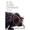 A Fly in the Ointment: Short Stories