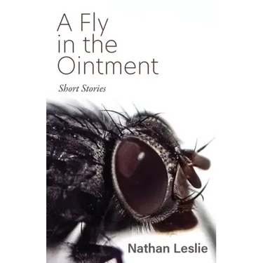 A Fly in the Ointment: Short Stories