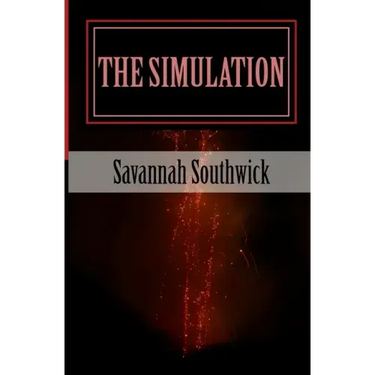 The Simulation