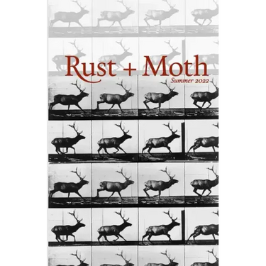Rust and Moth: Summer 2022