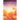 Our Father Who Art In Heaven: Volume One Discover the Love of God Beyond Human Senses