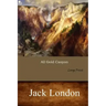 All Gold Canyon: Large Print