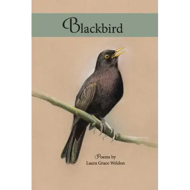 Blackbird: poems