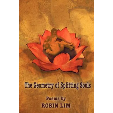 The Geometry of Splitting Souls