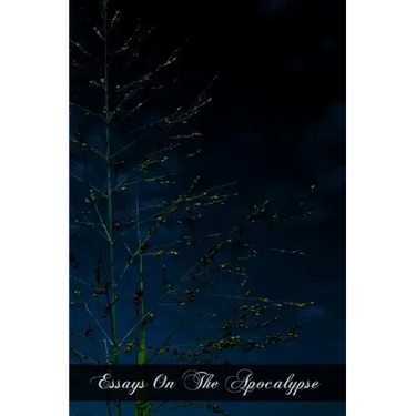 Essays On The Apocalypse
