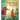 Little Fairy's Christmas