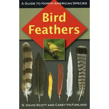 Bird Feathers: A Guide to North American Species