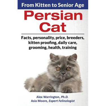 Persian Cat: From Kitten to Senior Age