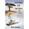 In the Shadow of the Lone Cypress