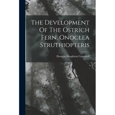 The Development Of The Ostrich Fern, Onoclea Struthiopteris
