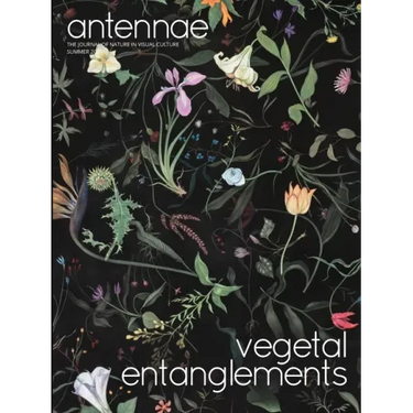 Antennae #51 Vegetal Entanglements #1