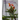 Butterfly Gardens and Raising Butterflies: The Story of How We Started Our Butterfly Garden... and Other Bits of Information