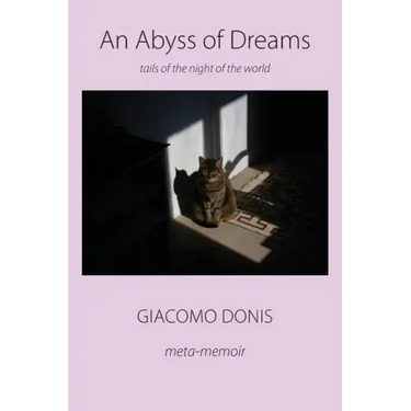 An Abyss of Dreams