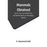 Mammals Obtained by Dr. Curt von Wedel from the Barrier Beach of Tamaulipas, Mexico