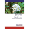 Pachypodium (Apocynaceae)