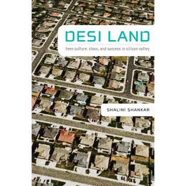 Desi Land: Teen Culture, Class, and Success in Silicon Valley