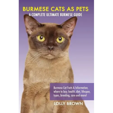 Burmese Cats as Pets: Burmese Cat Facts & Information, where to buy, health, diet, lifespan, types, breeding, care and more! A Complete Ulti