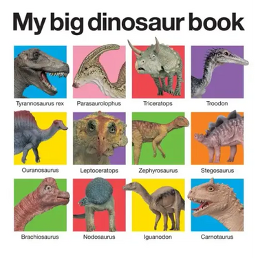 My Big Dinosaur Book