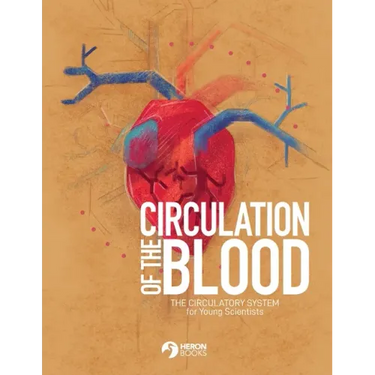 Circulation of the Blood: The circulatory system for Young Scientists