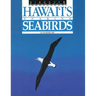 Discover Hawai'i's Soaring Seabirds