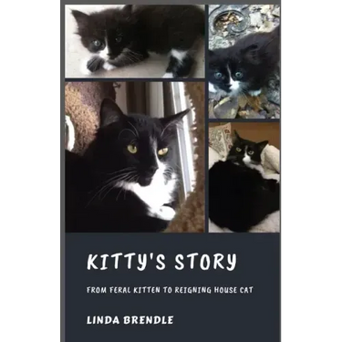 Kitty's Story: From Feral Kitten to Reigning Housecat