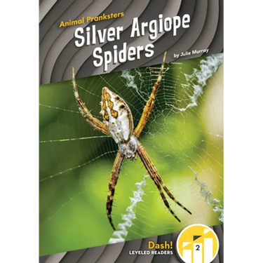 Silver Argiope Spiders