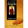 The Truth about Angels: Angelic Encounters from a Biblical Perspective