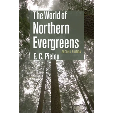 The World of Northern Evergreens