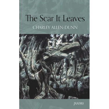 The Scar It Leaves