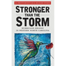 Stronger Than The Storm: Hurricane Helene in Western North Carolina