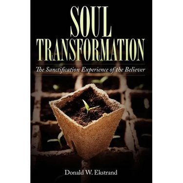 Soul Transformation