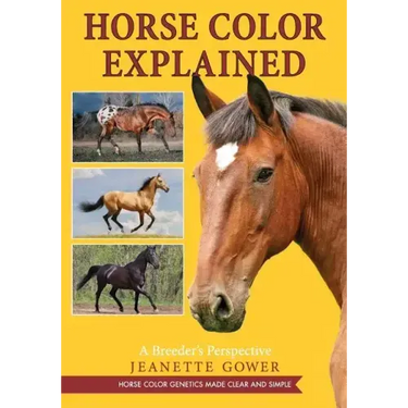 Horse Color Explained: A Breeder's Perspective