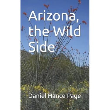 Arizona, the Wild Side