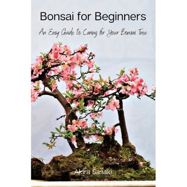 Bonsai for Beginners: An Easy Guide to Caring for Your Bonsai Tree