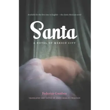Santa: A Novel of Mexico City