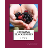 Growing Blackberries