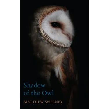 Shadow of the Owl
