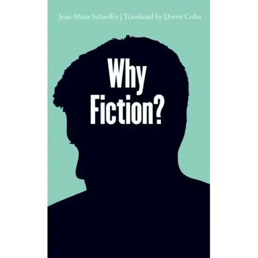 Why Fiction?