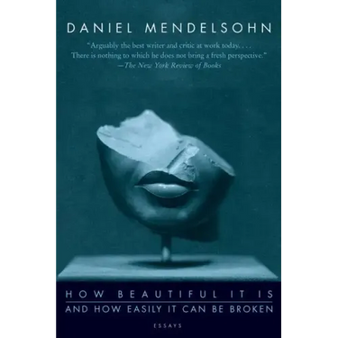How Beautiful It Is and How Easily It Can Be Broken: Essays